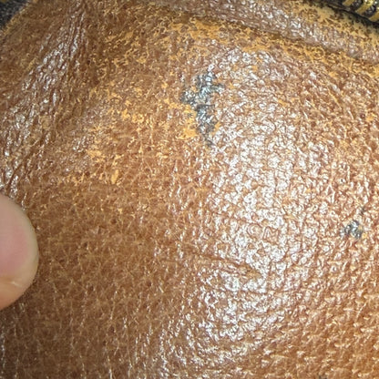 Louis Vuitton Danube Monogram Crossbody Bag