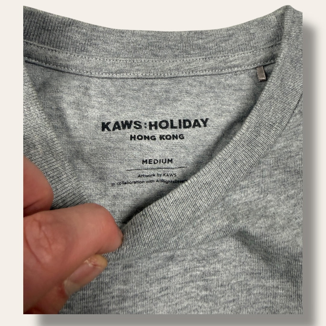 Kaws tee grey - Small