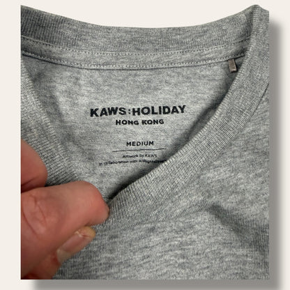 Kaws tee grey - Small