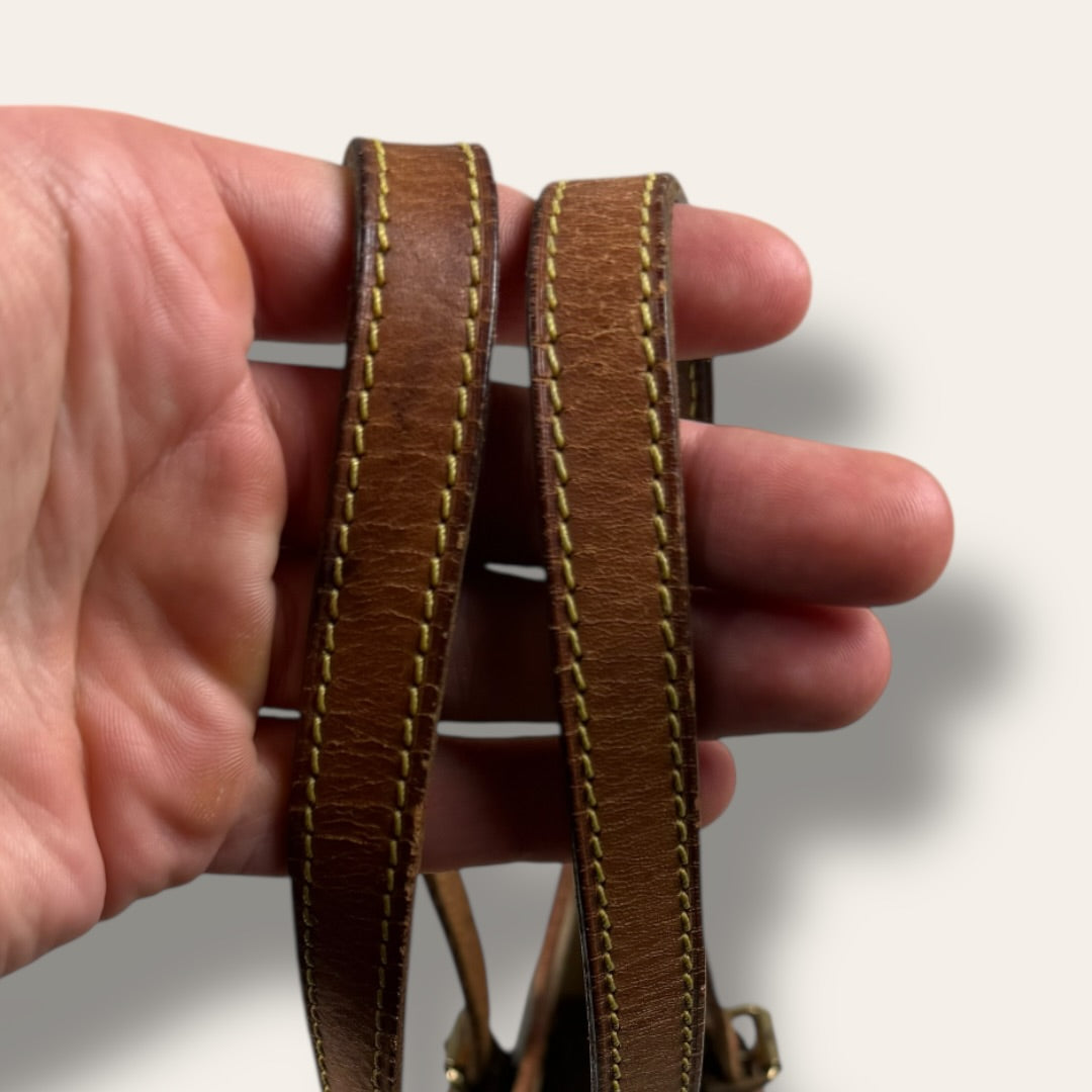 Louis vuitton bucket bag brown